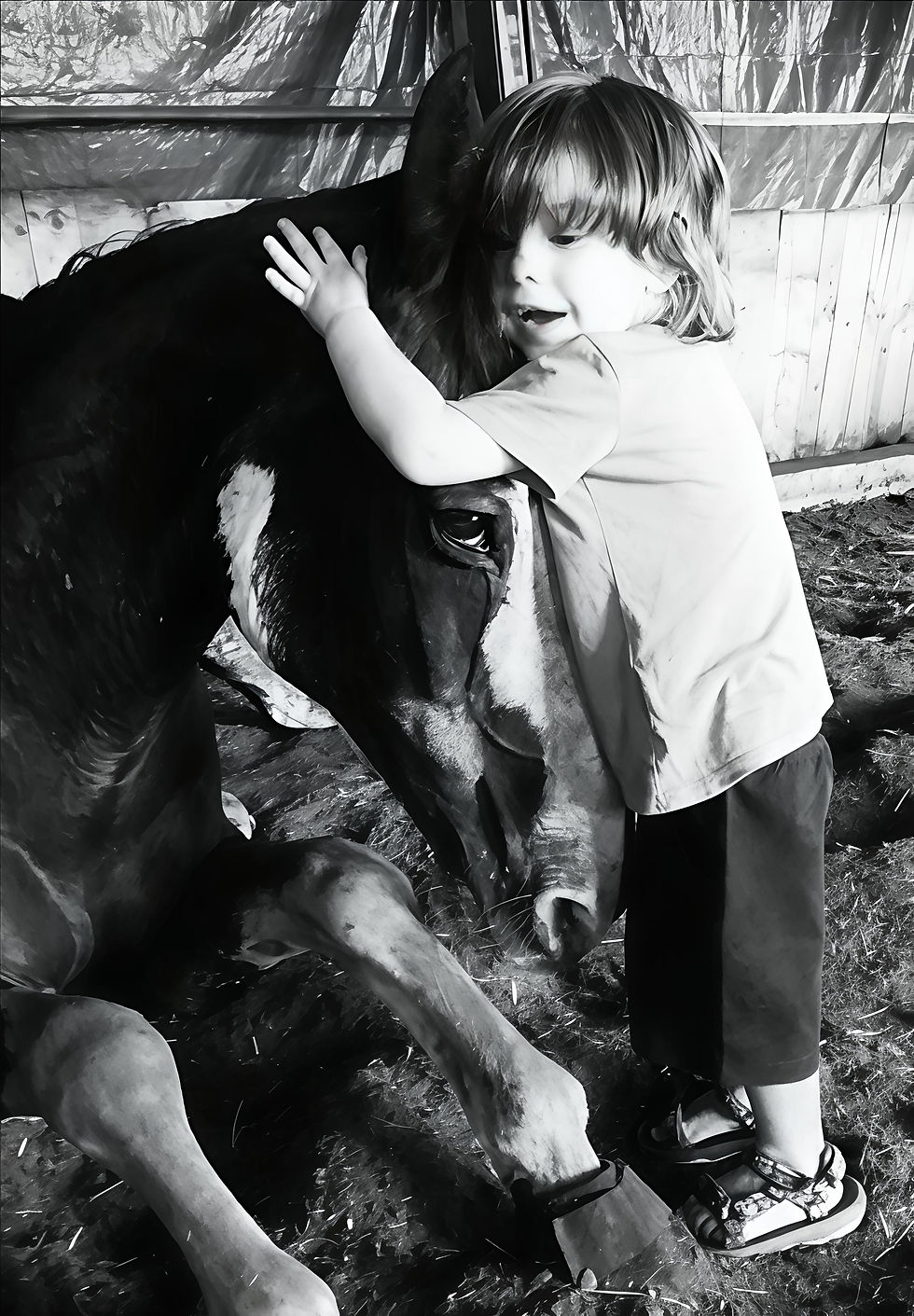 Dal blog di Pelosoficamente.com
