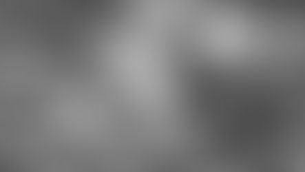 l'astuzia della volpe