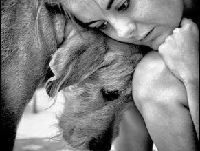 Pelosophìa saggezza animale