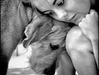 Pelosophìa saggezza animale