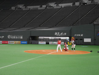2018年もう一つの野球開幕!!