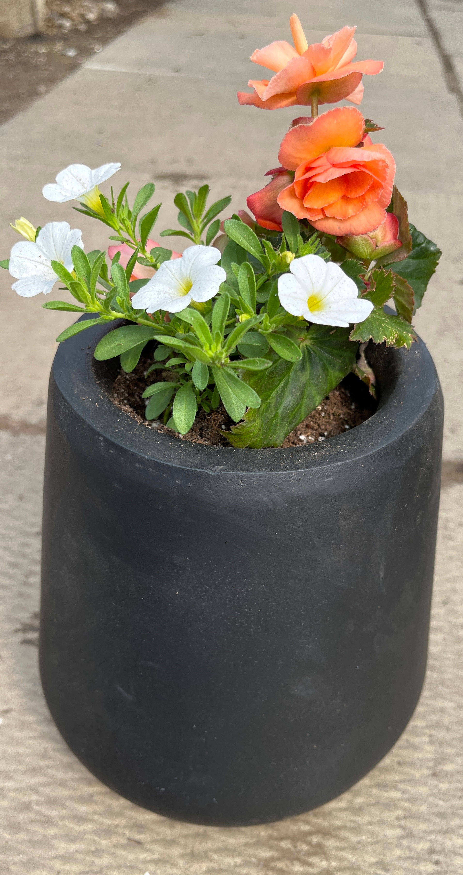 Mini barrel of beauty 