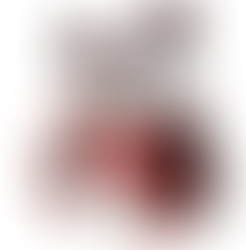                                    Asia Buffet 26.04.2026