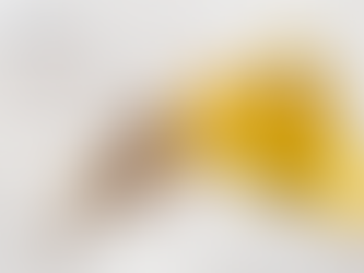 Castor Oil Market Size & Trends | Industry Growth - 2034