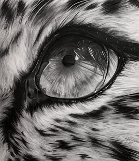 Realistisk tegning av øye kunst av Merethe Torbergsen
