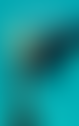 LIKE ICARUS, TO THE SUN