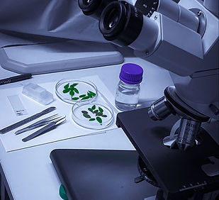 🍃🔬🧪.jpeg