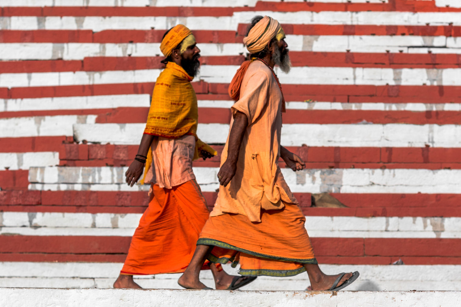 Indian Ascetics
