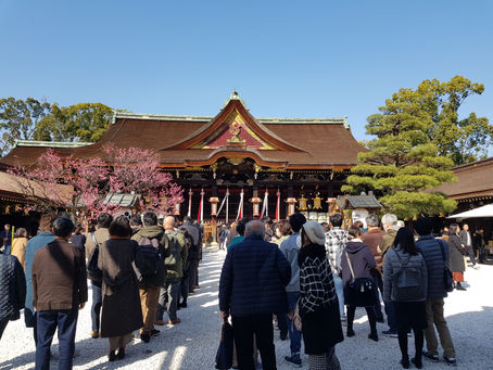 Ume-Hanami (Plum-Blossom-Sightseeing)