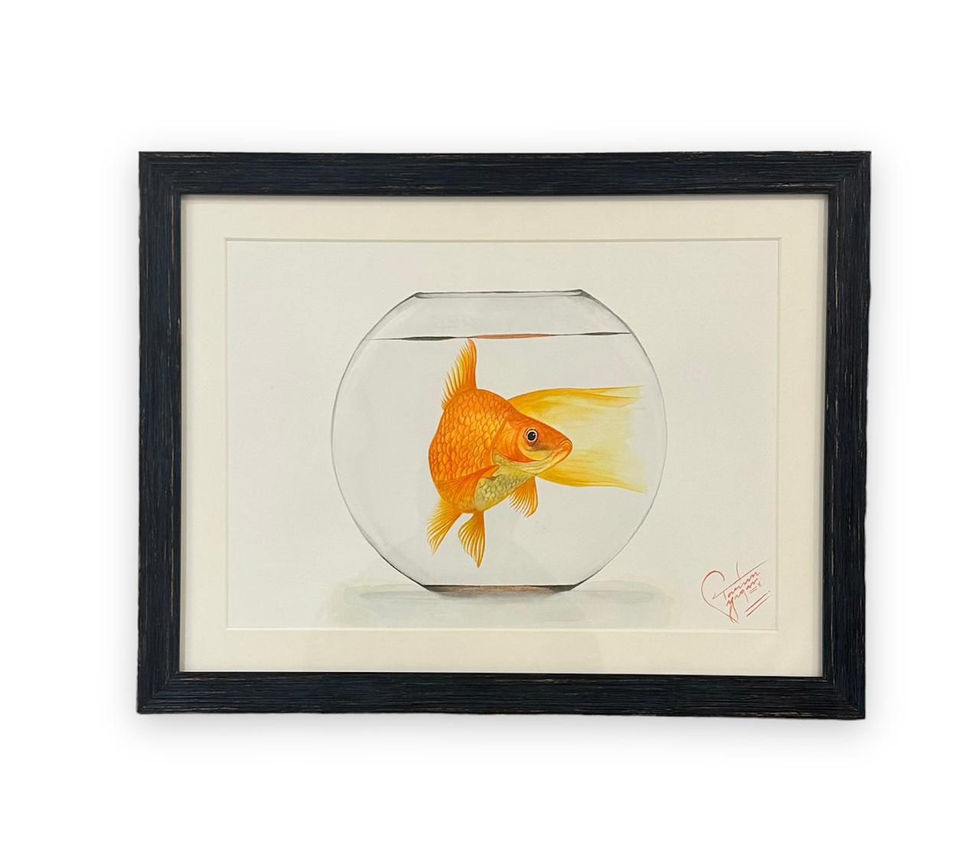 WhatsApp Image 2026-03-05 at 5.24.15 PM