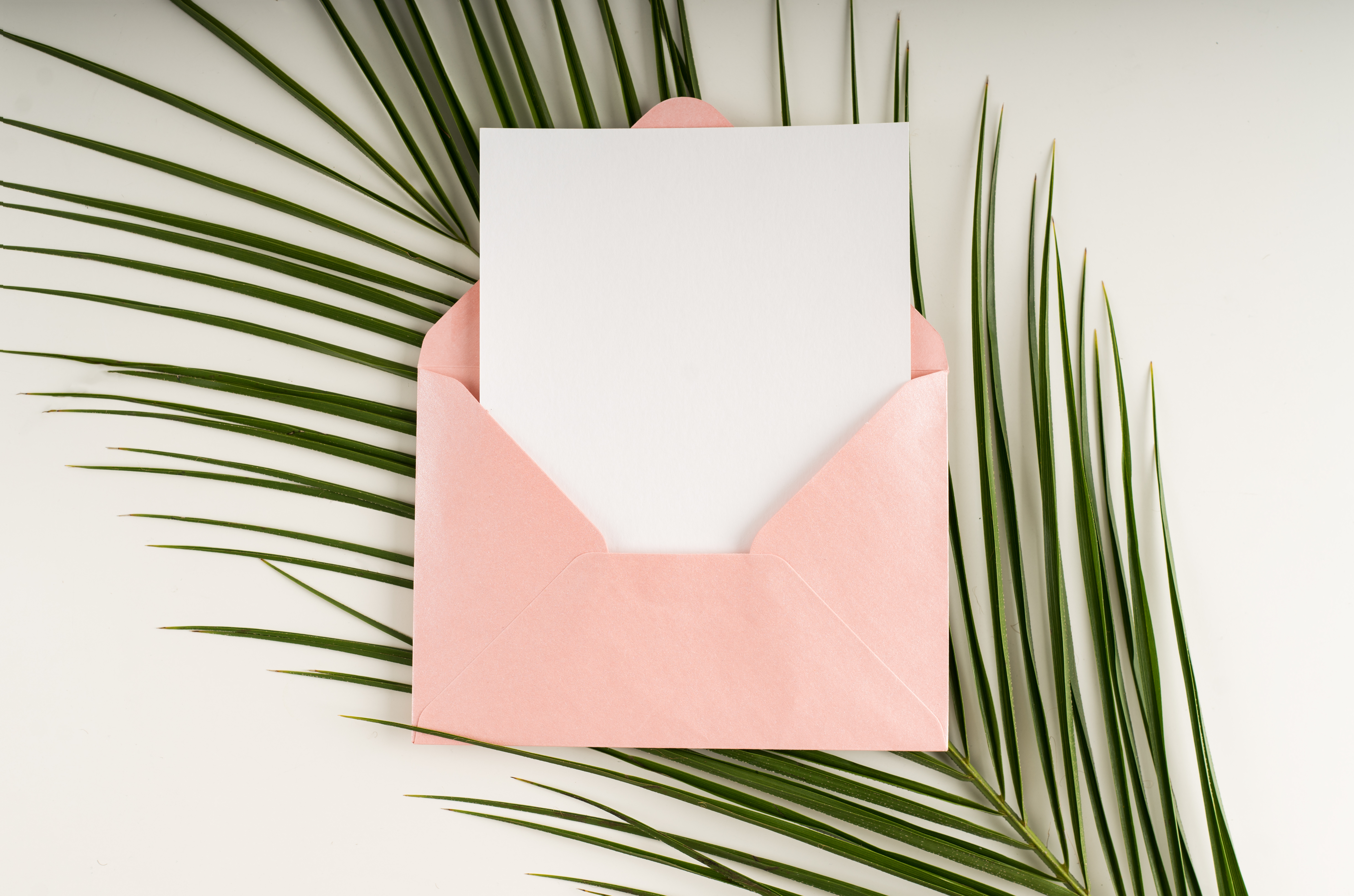 Gift Card Image
