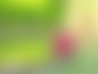 Was verbirgt sich unter dem Namen Aura-Soma®?