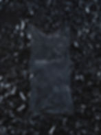 NFT-27.jpg