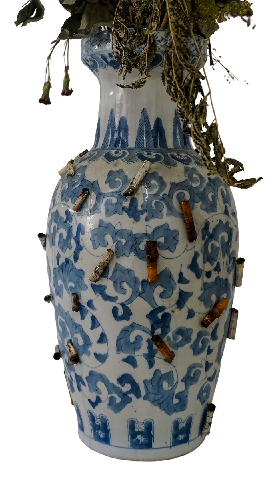 in-vase-ive species-08.png