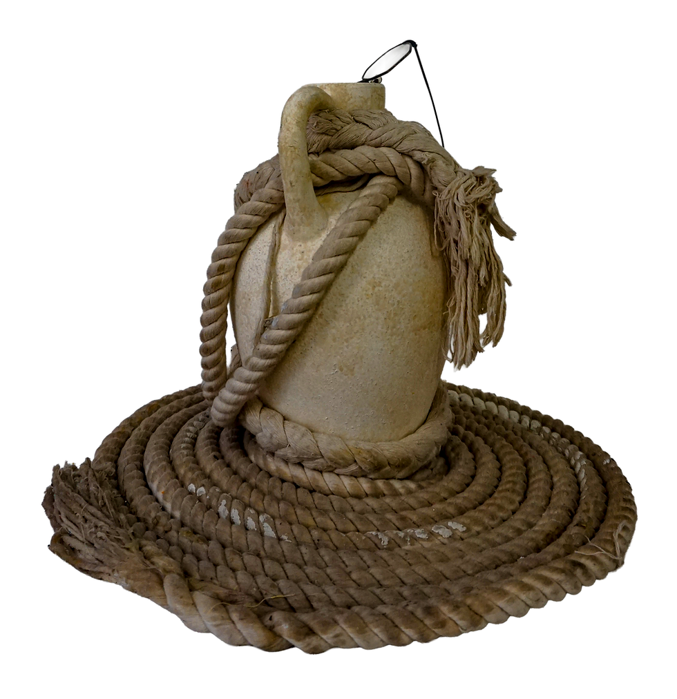 in-vase-ive species-1.png