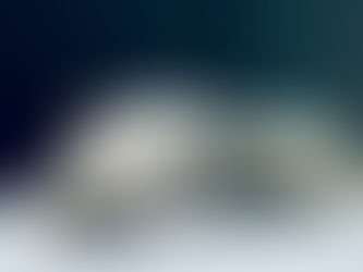 Understanding FIP Relapse: Why It Happens and What to Do