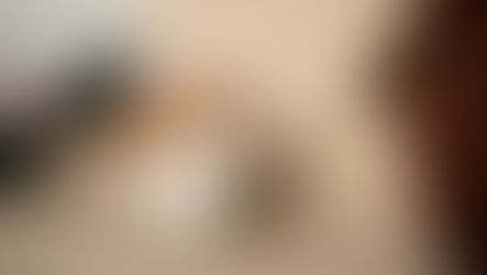 How to Support Your Cat’s Recovery After FIP Treatment