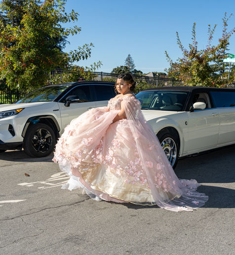 Beautiful blush Quince. Modern elegant decor. 