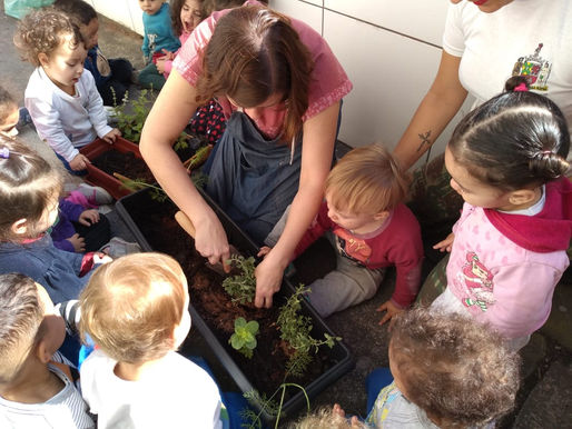 Infantil IB - Plantação