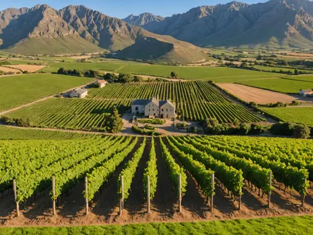 Uncovering the Allure of South Africa: A Luxury Traveler's Guide to Hidden Gems