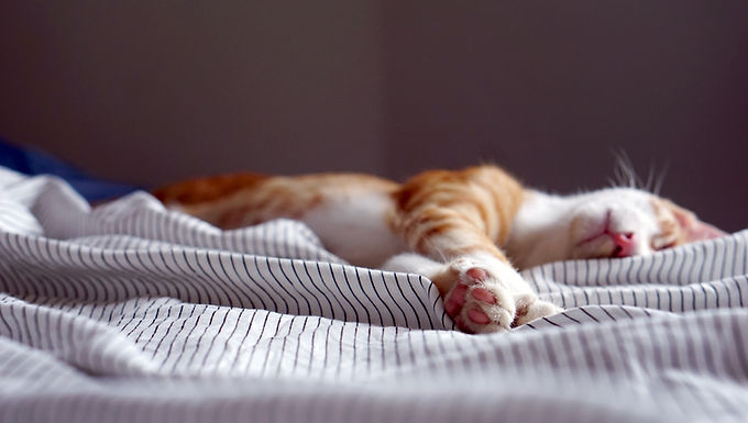 Hypnagogia: Something Curious Happens Before You Fall Asleep
