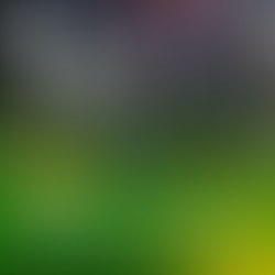 ATM pushes for AMMB to replace Mining Act