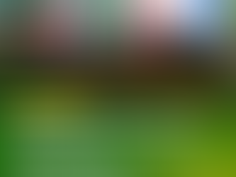 ATM calls for system change that upholds right to say No to mining