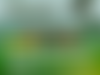 Asia-Pacific environment and human rights group demands system change; rejects “green transition”