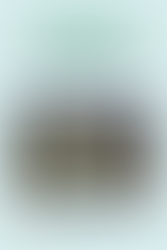 Deepening Threats to the Coastal and Marine Ecosystems of the Philippines: A Briefing Paper on Offshore Mining, Seabed Quarrying and Reclamation Projects