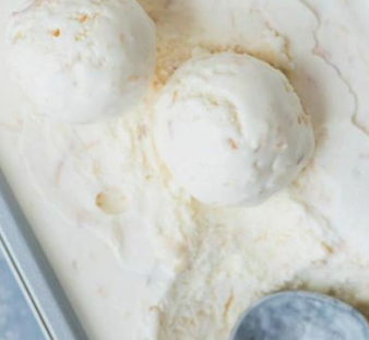 Coconut Ice Cream