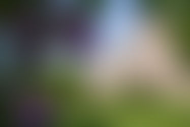 Jacie: The Great London Adventure (Travel Photos)