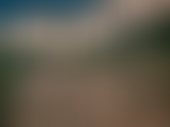 O meio ambiente na Ciência Política: caminhos da cultura política na América Latina