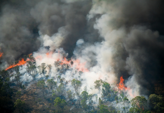 Clima em debate: série do OIMC explica os discursos que dificultam a ação ambiental