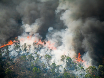 Clima em debate: série do OIMC explica os discursos que dificultam a ação ambiental