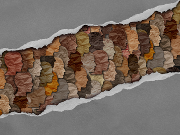 Estudo aponta baixa conexão entre conselhos estaduais e nacionais de Direitos Humanos