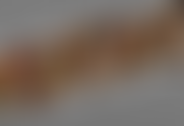 Estudo aponta baixa conexão entre conselhos estaduais e nacionais de Direitos Humanos