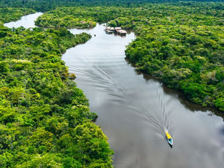 Dinastias políticas e temática ambiental nas eleições na Amazônia
