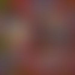 Podcast analisa o uso das mÃdias sociais nas campanhas presidenciais de 2018 e 2022