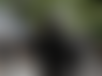 Militarização e segurança pública: permanências da Doutrina de Segurança Nacional