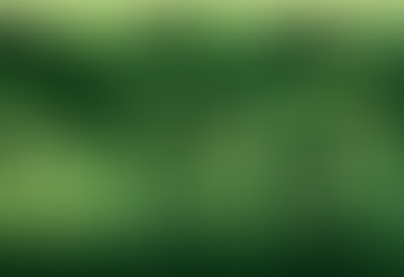 Mesa-redonda: desafios e estratégias da Política Ambiental no Brasil