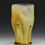 Thumbnail: Yellow rain Dani cup