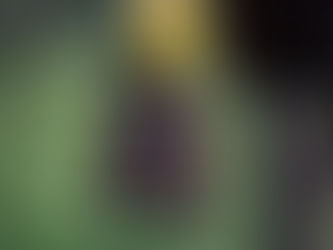 Let Nothing Hold You In One Place💕