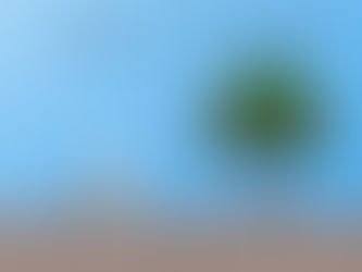 The Small Habits You Build Today Shape the Reality You Experience Tomorrow