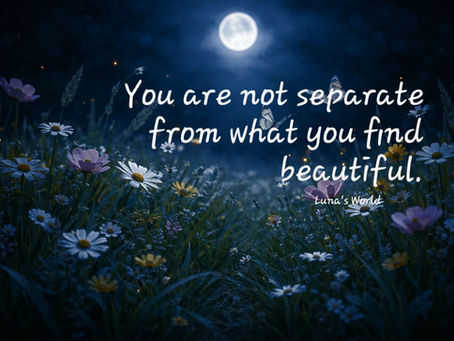 You Are Not Separate From What You Find Beautiful