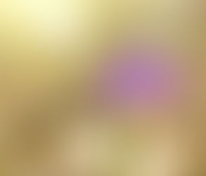 Sow Seeds of Love and Be A Good Human Being