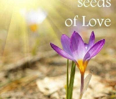 Sow Seeds of Love and Be A Good Human Being
