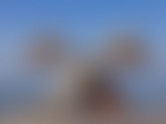 Your Internal and External Environment Matte