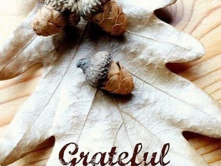 Why Gratitude Matters