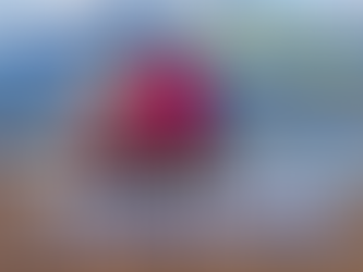 Business, Friendship & The Five Elements