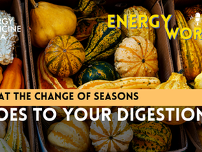 What the Change of Seasons Does to Your Digestion